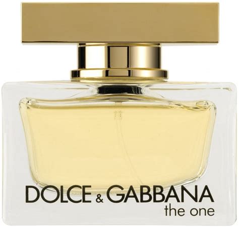 the one women eau de toilette dolce gabbana|Dolce & Gabbana the one 100ml.